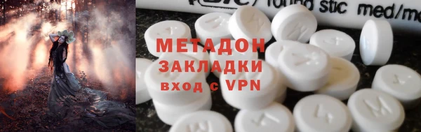 прущие грибы Абинск