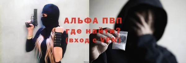 прущие грибы Абинск