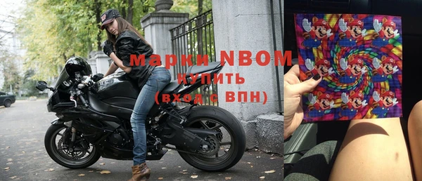 прущие грибы Абинск