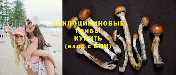 spice Абаза